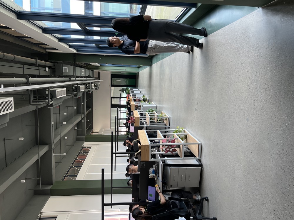 项目实景图