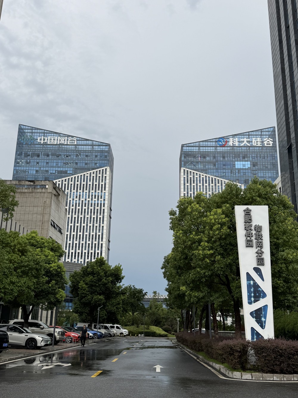 项目实景图