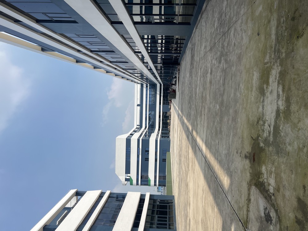 项目实景图