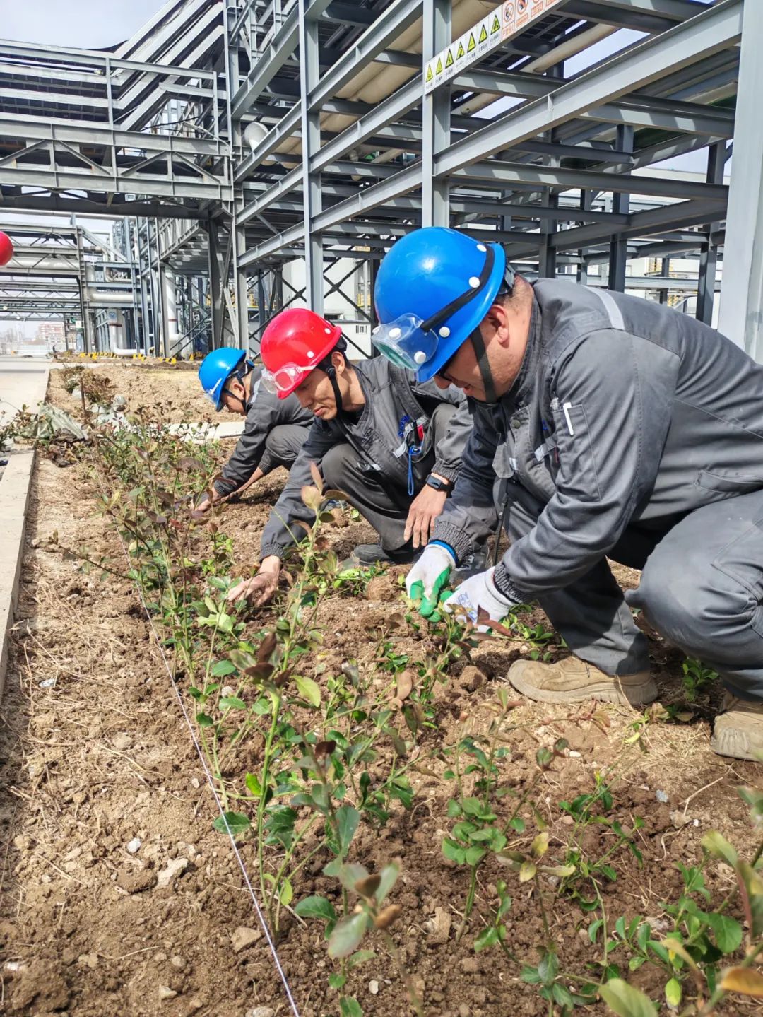 植树节丨尚正新材打造绿色家园，以行动诠释责任关怀
