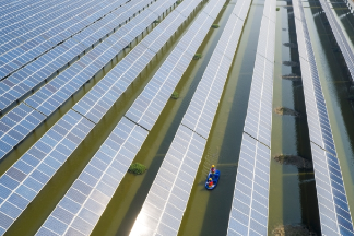 金湖县塔集镇130MW“渔光互补”项目