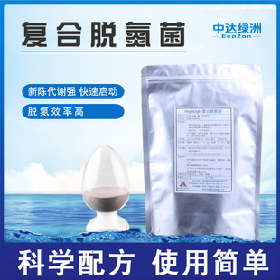 复合脱氮菌