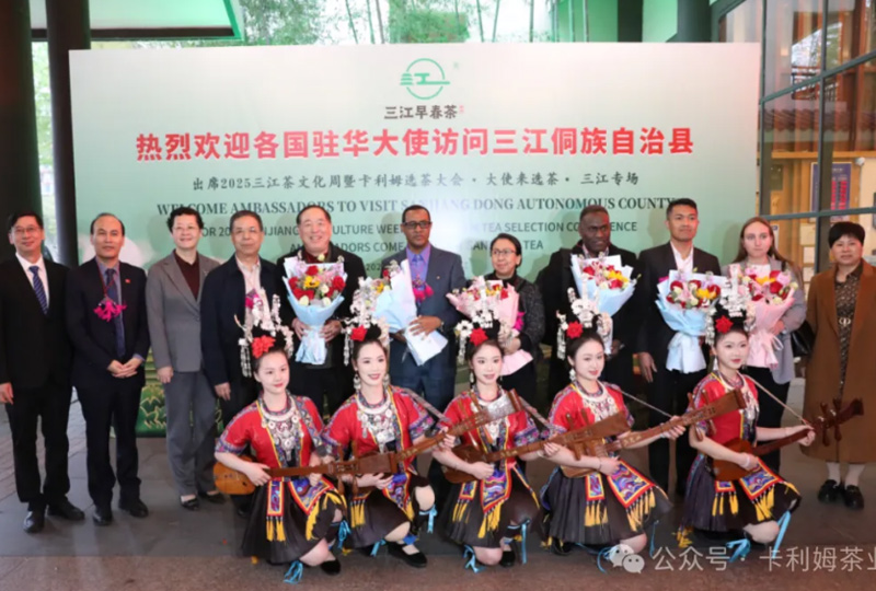 卡利姆全球选茶大会走进广西三江 打造中国茶产业全球化发展样板