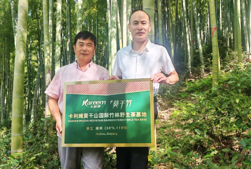 卡利姆莫干山茶会、卡利姆莫干山国际竹林野生茶基地启动