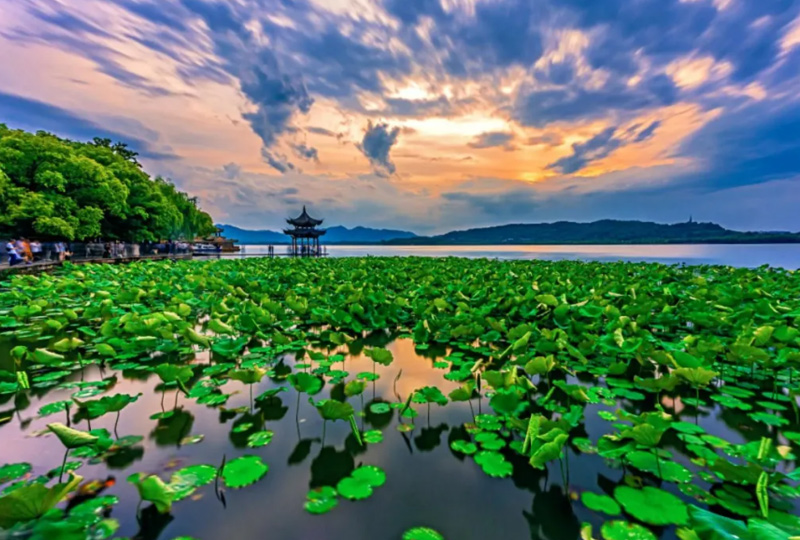 卡利姆西湖茶会将于2025年10月在杭州举行