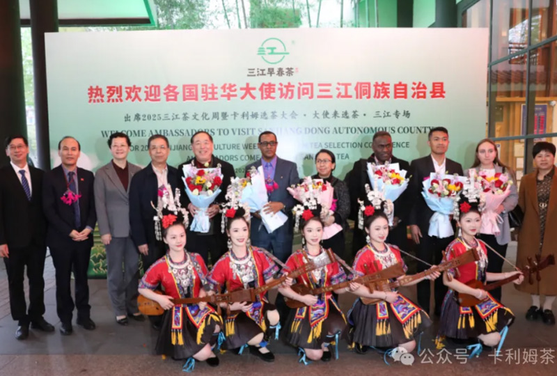 卡利姆全球选茶大会走进广西三江 打造中国茶产业全球化发展样板