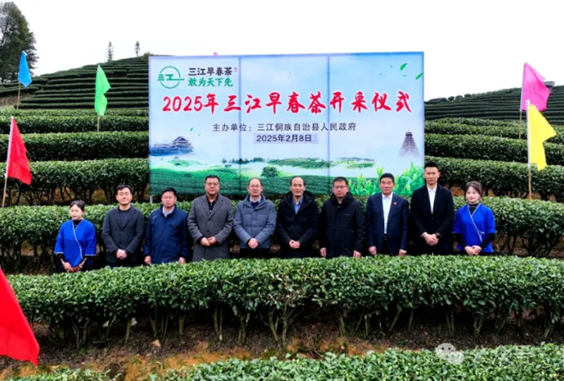 卡利姆茶业与广西三江侗族自治县政府签署战略合作协议 共同推动三江茶产业全球化