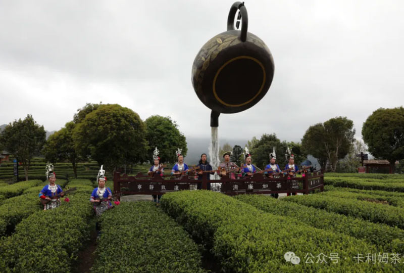 Kareem Global Tea Selection Conference Entering Sanjiang Guangxi.copy