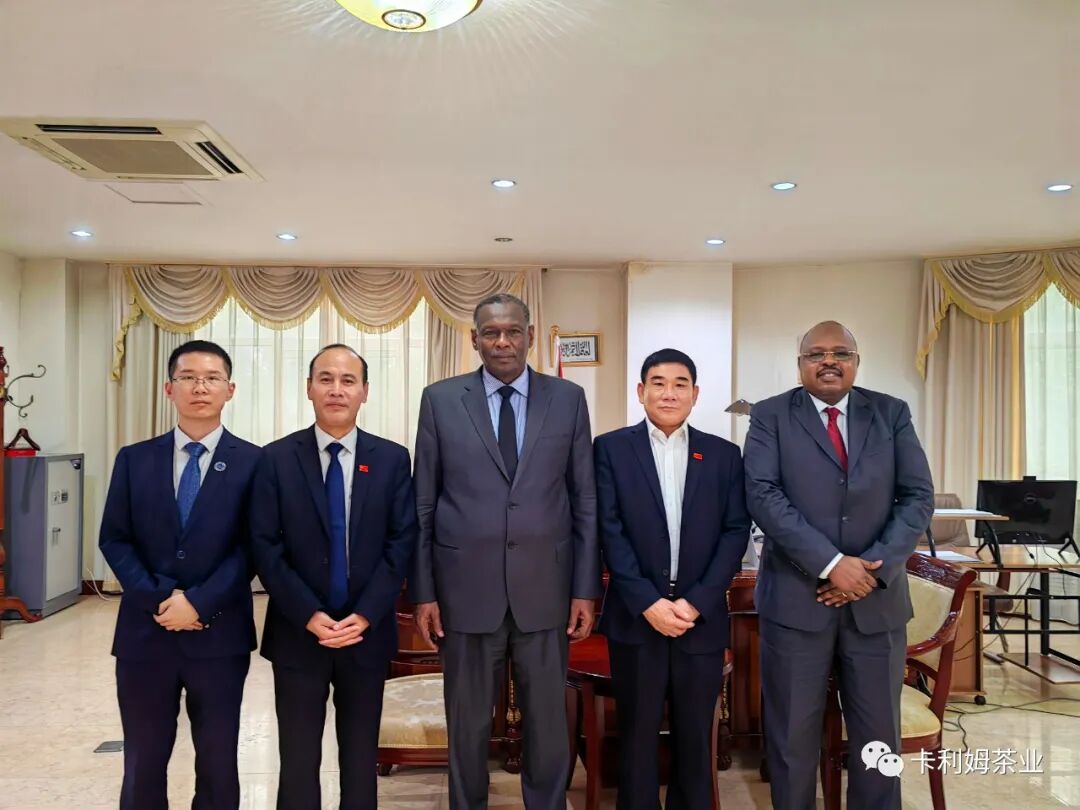 WDEF沃达福创始人秦勇拜会苏丹驻华大使欧麦尔·萨迪格