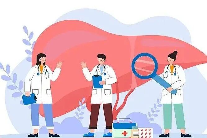 别把“小肚腩”不当回事！它可能是肝脏在拉警报