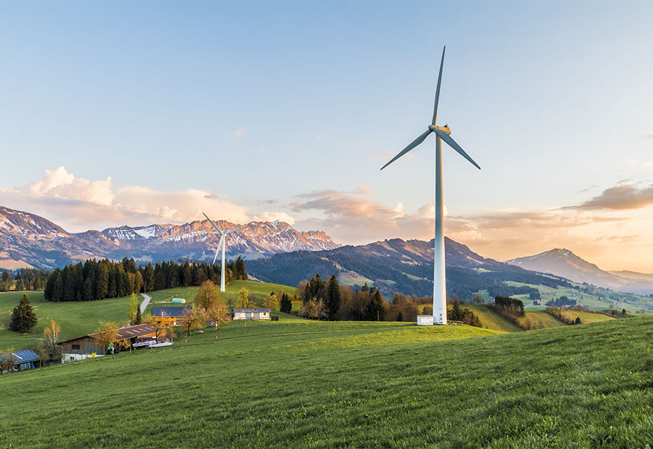 上海锋江机械有限公司