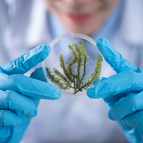 Two products from Seno Medical have received breakthrough recognition from the FDA