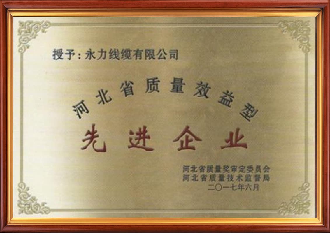 质量效益型先进企业