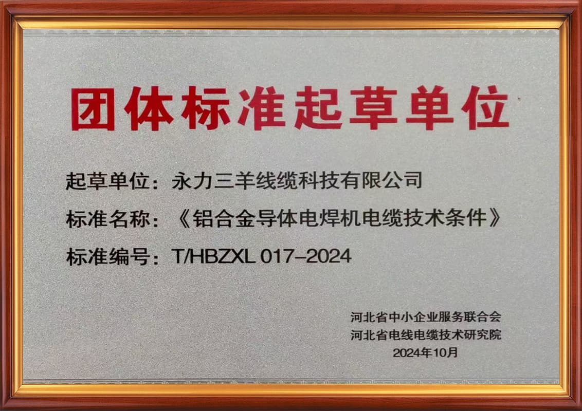 团队标准起草单位