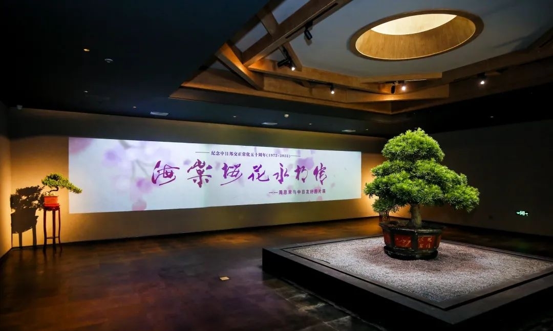 我会党支部联合爱尔公益基金会、中国听力医学发展基金会 共同举办党员联学联建活动