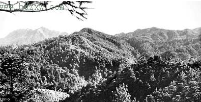 土地革命系列（六）保卫中央苏区