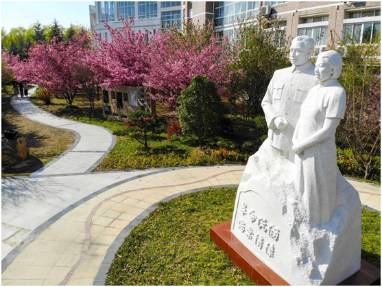 “三地连线” 践初心 颂党恩