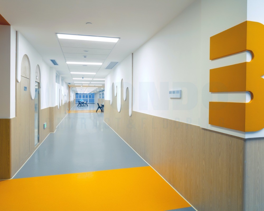 深圳BASIS贝赛思双语学校