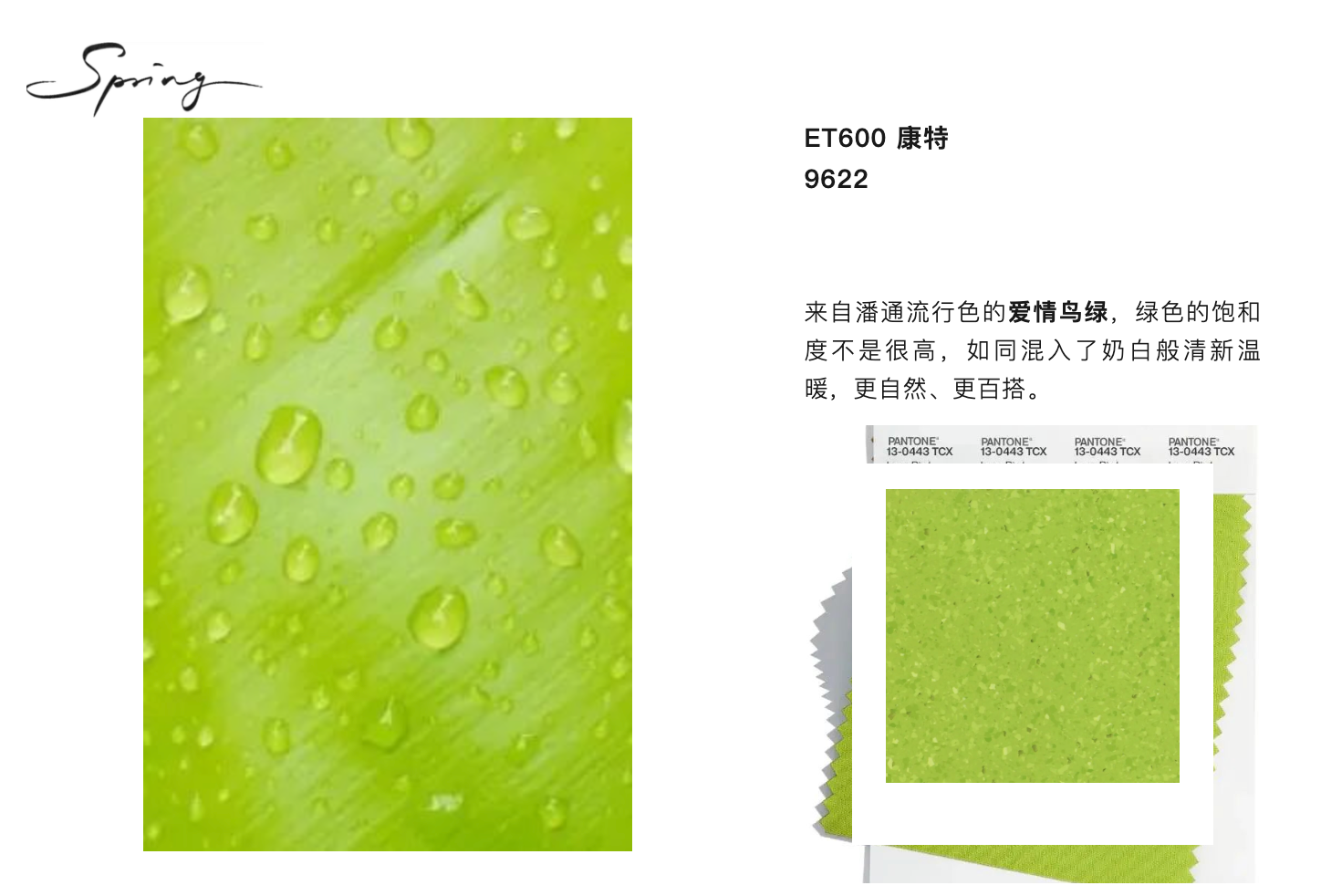 经典配色 总与流行相契合