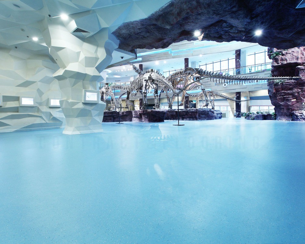合肥古生物博物馆