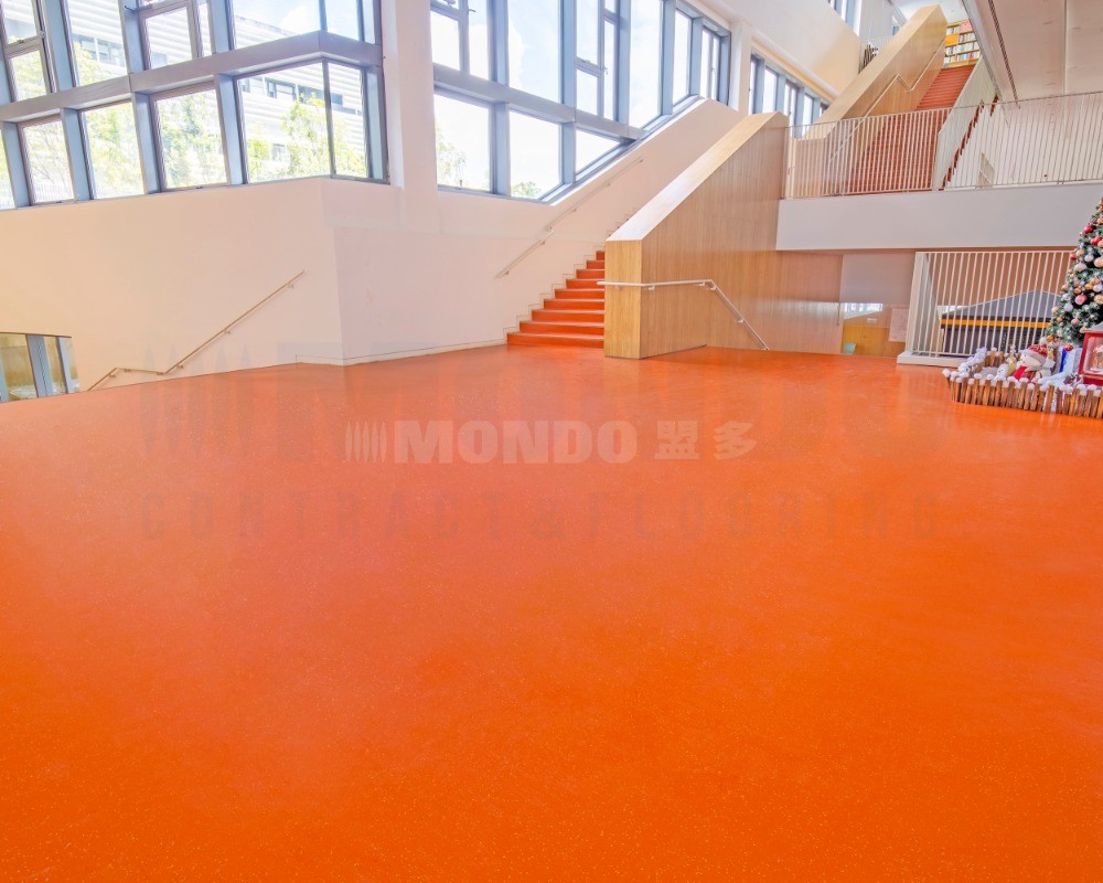 深圳南山外国语学校