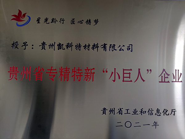 专精特精小巨人牌匾