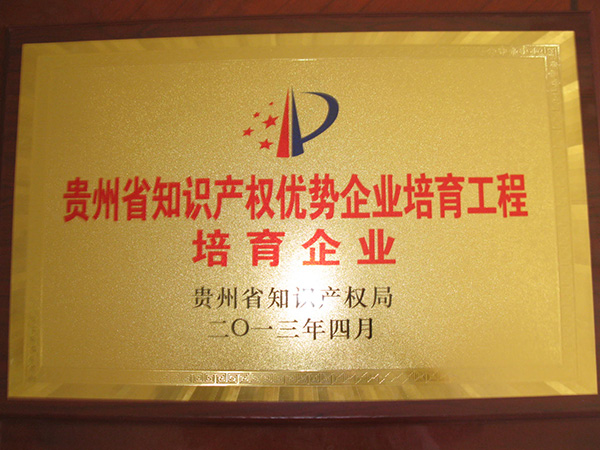 知识产权优势培育企业