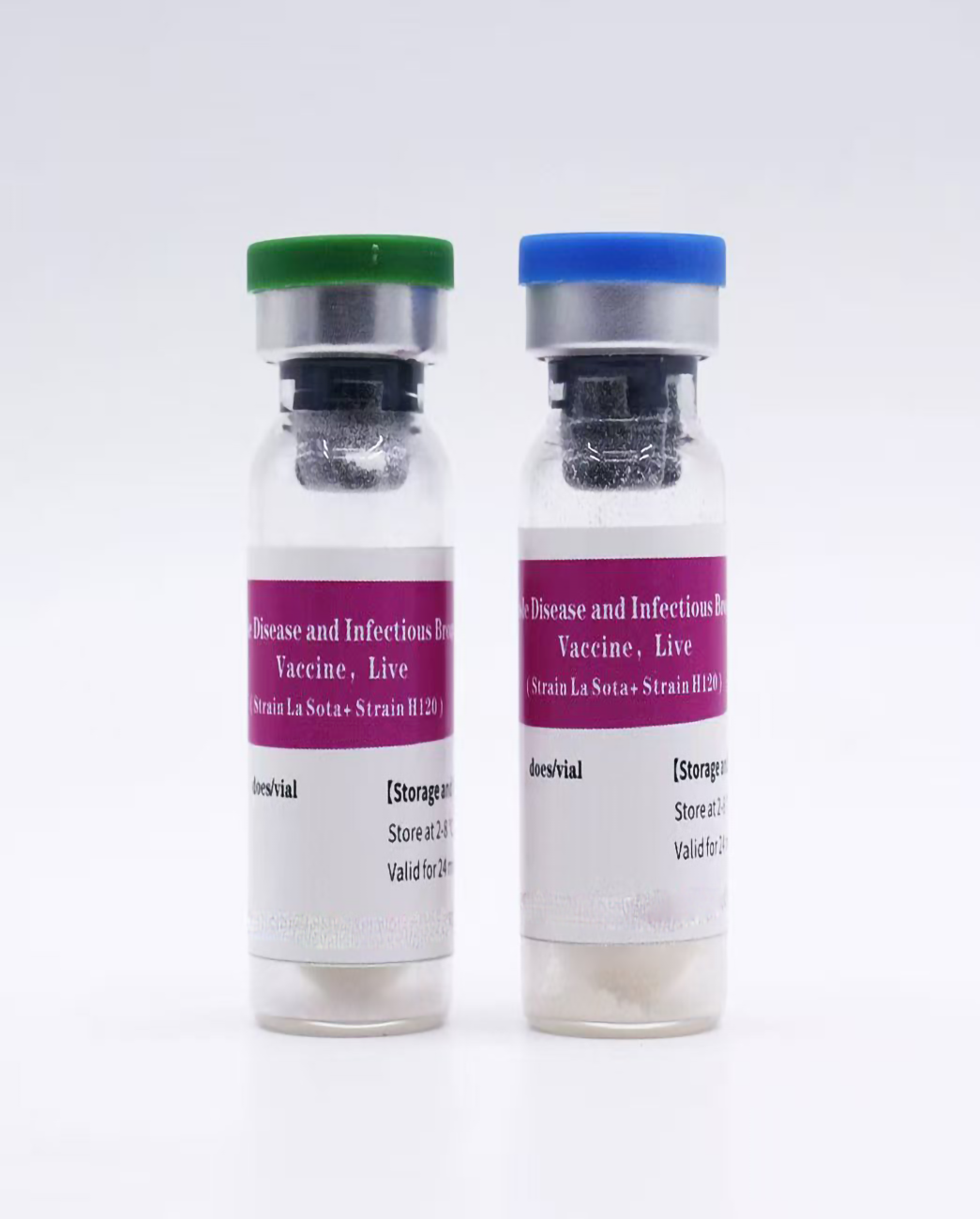 Combined Newcastle Disease and Infectious Bronchitis Vaccine, Live (Strain La Sota + Strain H120)