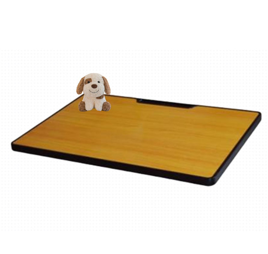 primary school students desk top