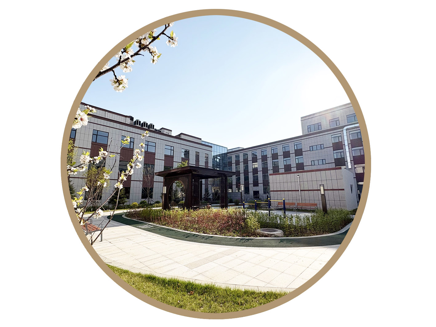 金豆怡康园康养中心  点击了解详情>>>