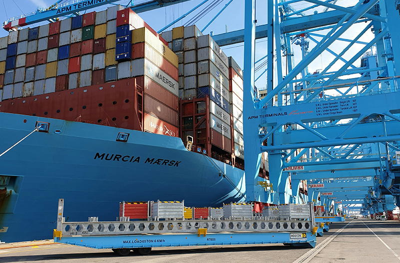 Sea Groupage Services