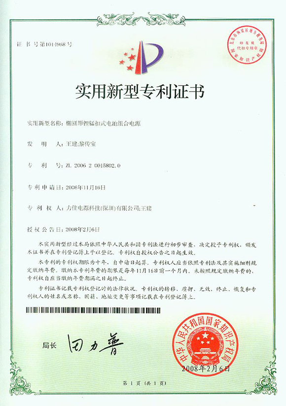 椭圆形锂锰扣式电池组合电源