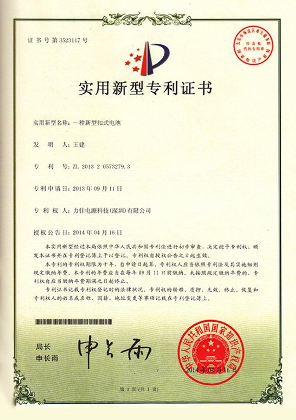 一种新型扣式电池