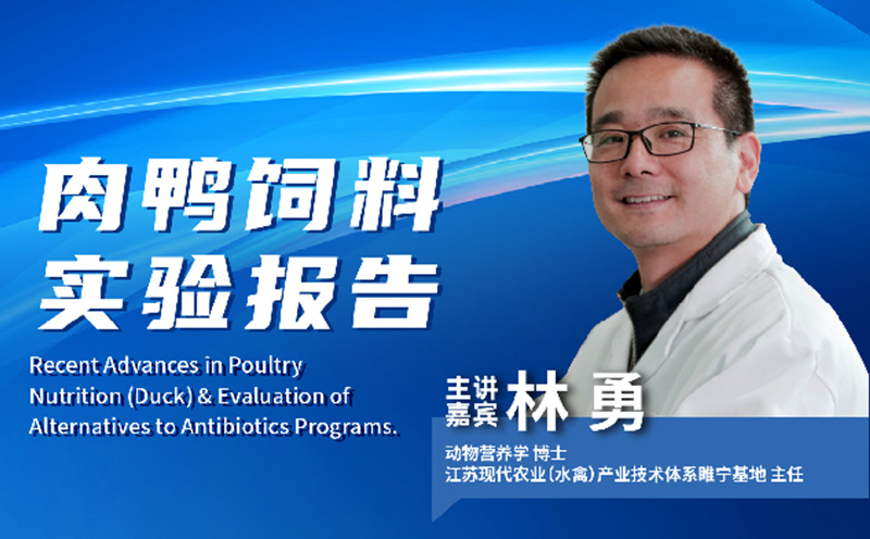 PPT分享：【2022（第1届）洞察者全球动物营养会议】，林勇博士课件《肉鸭饲料实验报告》，点击链接看回放