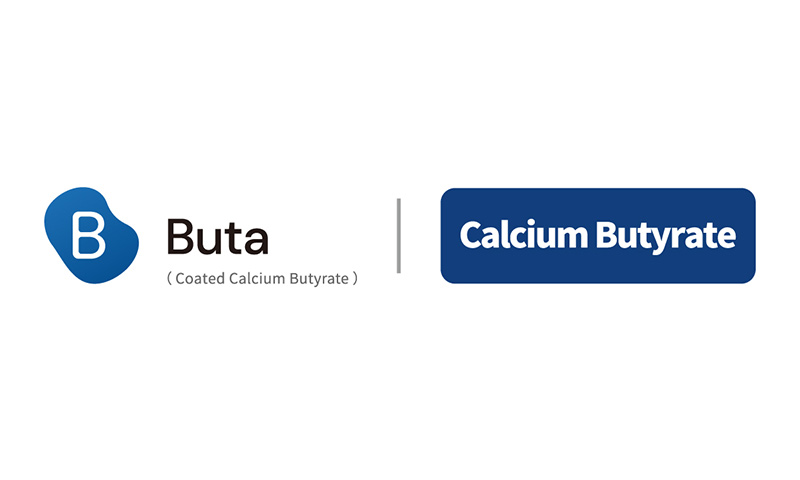 Buta | Calcium Butyrate