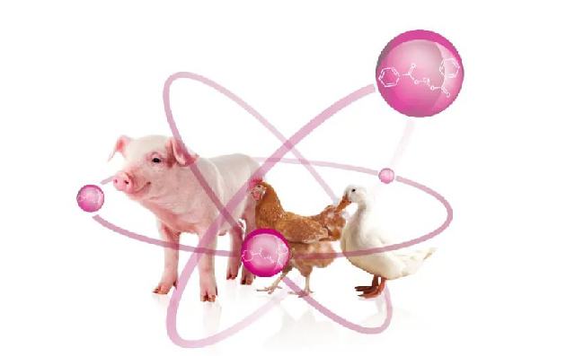 可肥酸：杀菌替抗+防霉，一份投入两份效果！