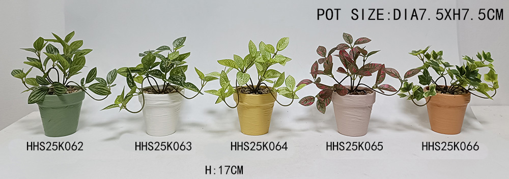 HHS25K062-063-064-065-066