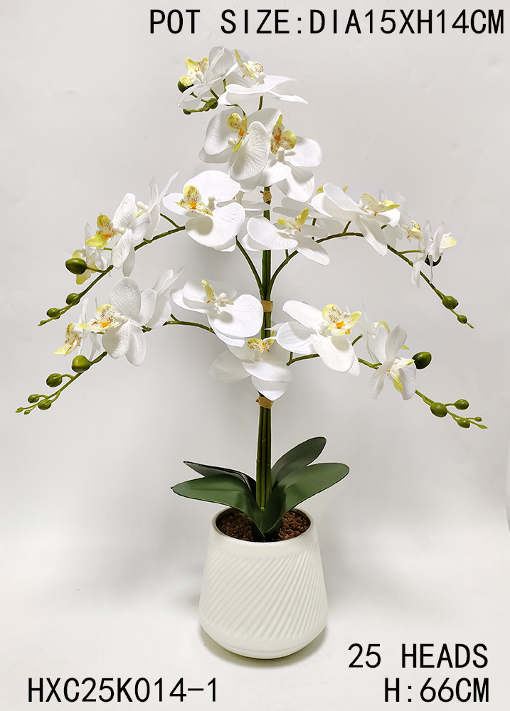 HXC25K014-1 - 布面