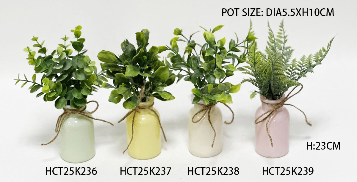 HCT25K236-237-238-239