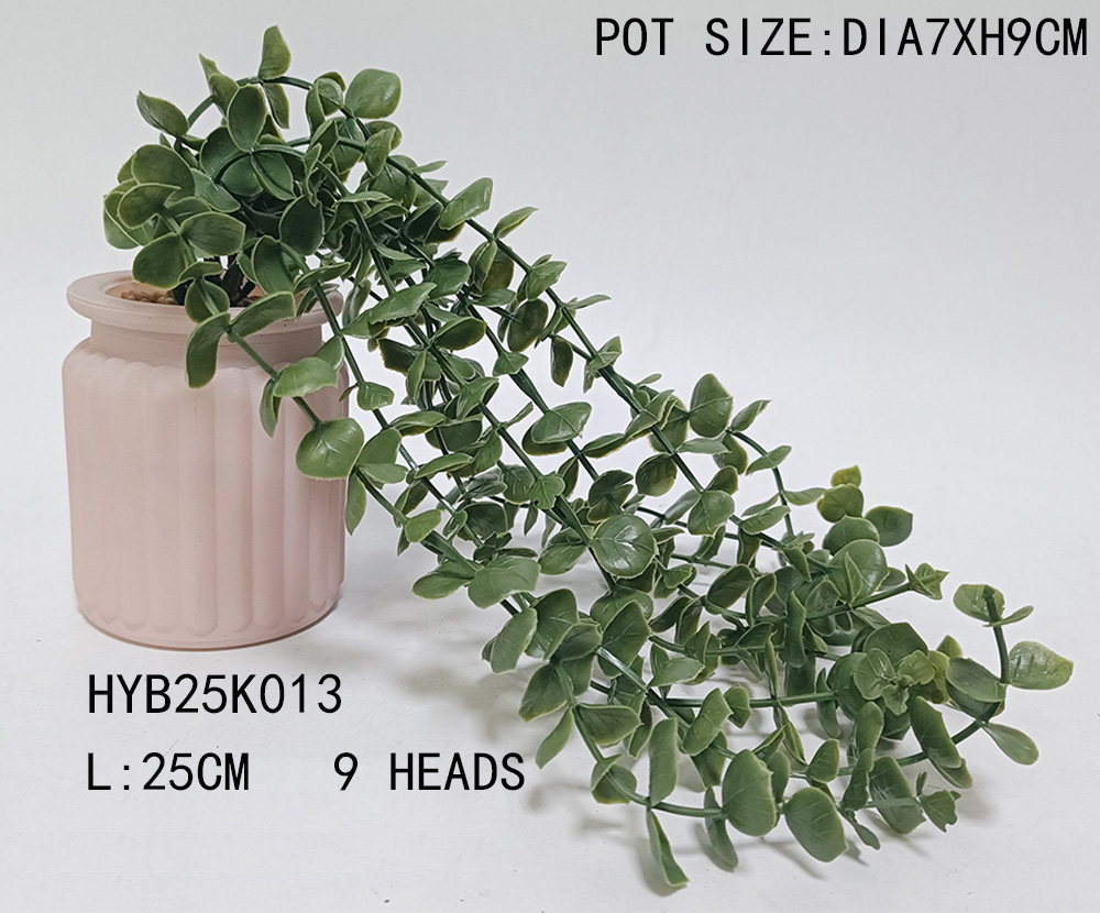 HYB25K013