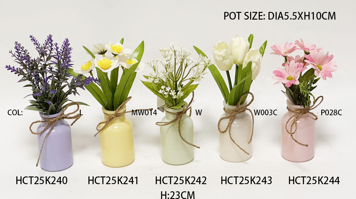 HCT25K240-241-242-243-244