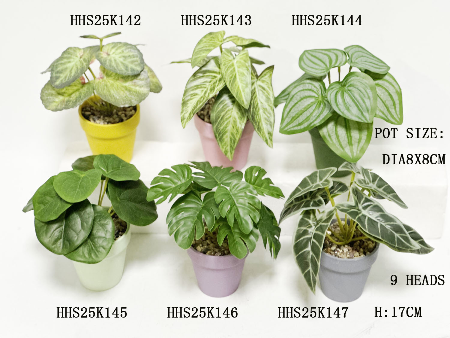 HHS25K142-143-144-145-146-147