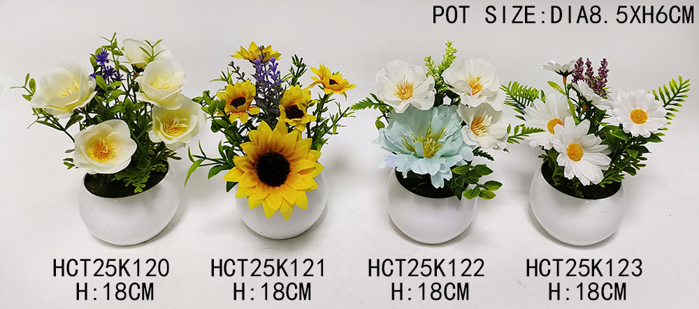 HCT25K120-121-122-123