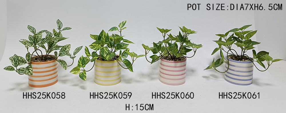 HHS25K058-059-060-061