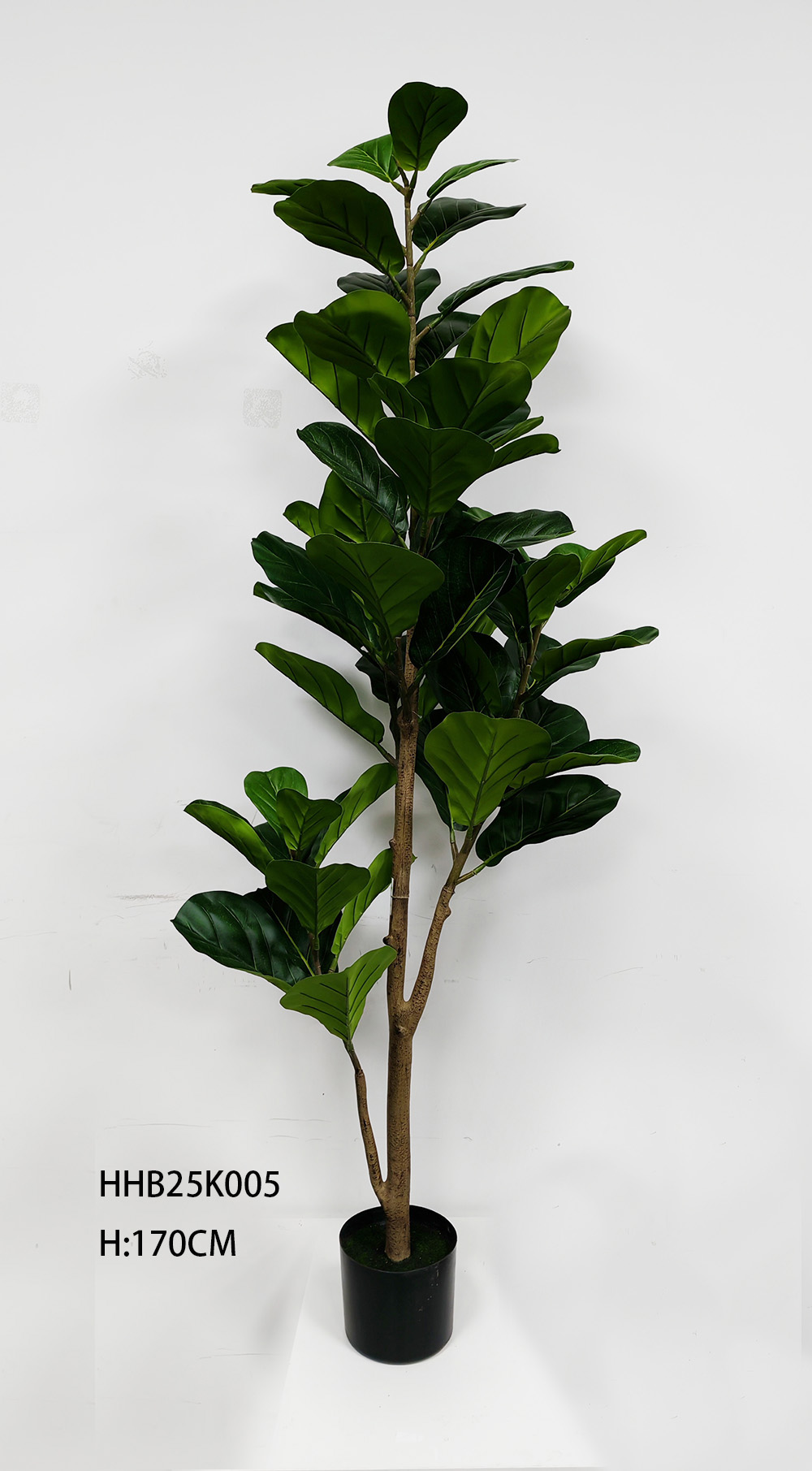 HHB25K005 -170CM