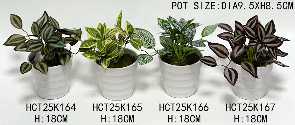 HCT25K164-165-166-167