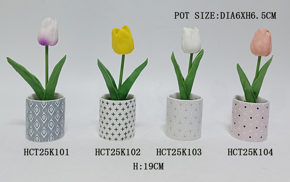 HCT25K101-102-103-104