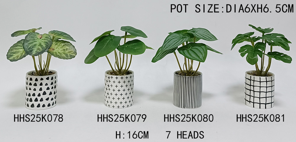 HHS25K078-079-080-081