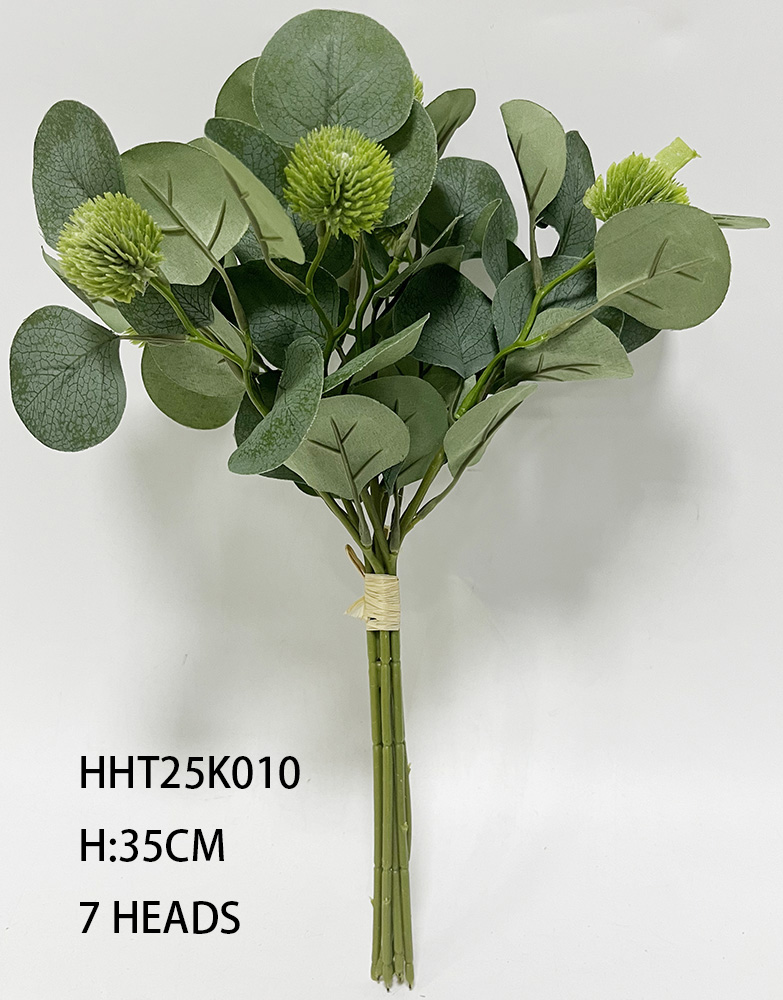 HHT25K010