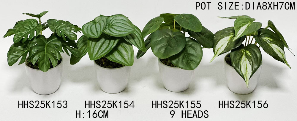 HHS25K153-154-155-156